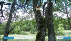 Biodiversité : en Haute-Savoie, un village entier devenu un refuge pour les oiseaux