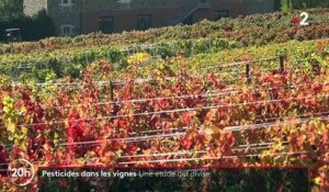 Santé : L'agence nationale de sécurité sanitaire lance une enquête sur les pesticides dans les vignes