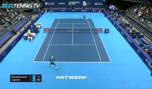 Anvers - Solide, Rinderknech sort Lajovic