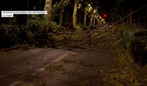 Vents violents: de nombreux arbres couchés sur les routes à Nogent-sur-Marne
