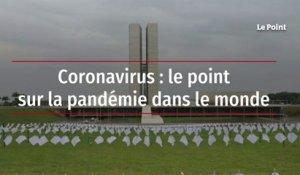 Coronavirus : le point sur la pandémie dans le monde