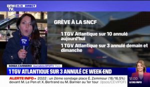 Grève à la SNCF: 1 TGV Atlantique sur 3 annulé ce week-end
