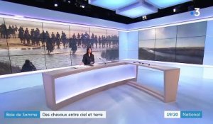 Baie de Somme : l'onirique transhumance des chevaux Henson, entre ciel et mer