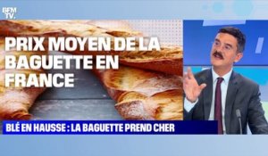 Blé en hausse : la baguette prend cher - 25/10