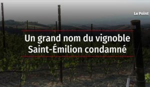 Un grand nom du vignoble Saint-Émilion condamné