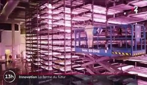 Innovation : inauguration de la ferme du futur au Danemark