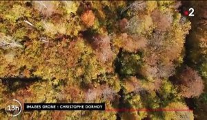 Haute-Marne : un département qui déploie toutes ses couleurs en automne