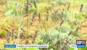 Agriculture : en Bourgogne, les exploitants s'adaptent au réchauffement climatique