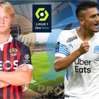 Nice-OM : les compositions probables