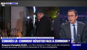 Bruno Retailleau: "Je vois Éric Zemmour comme une météorite médiatique"