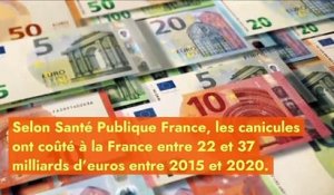 France : le coût (insoupçonné mais très élevé) des canicules