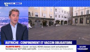 Covid-19: l'Autriche se reconfine et impose la vaccination