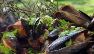 Gourmand - Moules de bouchot au chorizo