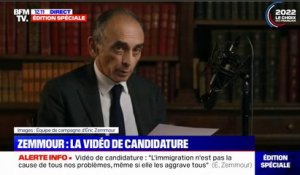 "Droite ou gauche, ils vous ont menti": Éric Zemmour officialise dans une vidéo sa candidature à la présidentielle