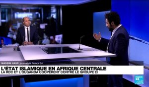 Afrique : pourquoi la RDC et l'Ouganda coopèrent contre le groupe EI ?