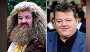 Harry Potter, voici quoi ressemblent les acteurs 20 ans plus tard