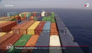 Transport maritime : des cargos à voile pour limiter les émissions de carbone
