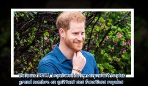 Prince Harry - ces conseils qu'il donne aux personnes qui n'aiment pas leur job