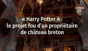 « Harry Potter » : le projet fou d’un propriétaire de château breton