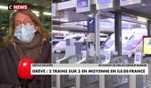 Grève : 2 trains sur 3 en moyenne en Ile-de-France
