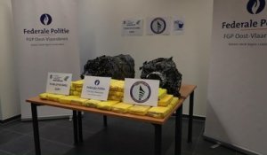 150 kilos de cocaïne retrouvés sous un navire brésilien dans le port de Gand