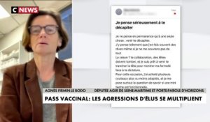 Agnès Firmin-Le Bodo : «Il est urgent d'agir, notre démocratie est en danger»