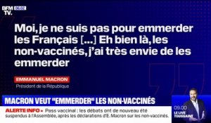 "Les non-vaccinés, j'ai très envie de les emmerder": les propos d'Emmanuel Macron créent la polémique au sein de la classe politique