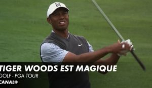 Quelques coups fantastiques du magicien Woods - Golf PGA Tour