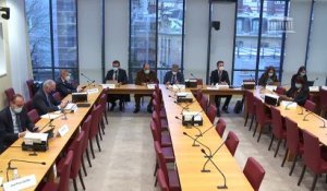 Commission des affaires étrangères : Examen de divers projets de loi - Mercredi 19 janvier 2022
