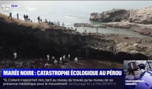 Une immense marée noire provoque une catastrophe écologique au Pérou