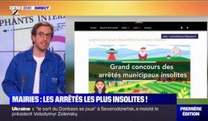 Un concours lancé sur les arrêtés les plus insolites de France