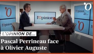 Pascal Perrineau: «Elisabeth Borne n’a pas joué son rôle de chef de la majorité durant la campagne»