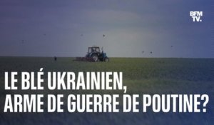Le blé ukrainien, arme de guerre de Vladimir Poutine?