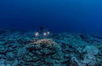 Un grand et profond récif corallien découvert non loin de Tahiti, une découverte rare