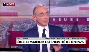 Éric Zemmour : «Je sens que le pays est derrière moi»