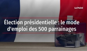 Élection présidentielle : le mode d'emploi des 500 parrainages