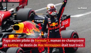 Le parcours de Max Verstappen