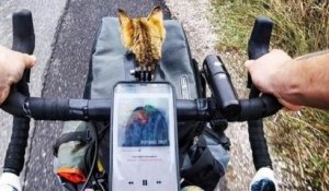 Ce cycliste fait le tour du monde à vélo avec un chaton abandonné qu'il a sauvé