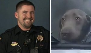 Un policier sauve un chien bloqué dans une voiture en feu