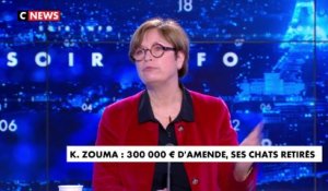 Dominique Vérien : «J'aimerais bien qu'en France on puisse réagir aussi vite pour empêcher que des hommes frappent leurs femmes»