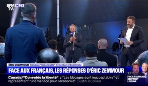 "La France dans les yeux" : les temps forts de l’émission avec Éric Zemmour