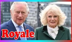 L'équipe du prince Charles n'était ''pas confiante'' sur Camilla: ''Des œufs pourris jetés sur eux0'