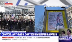 Des membres du "convoi de la liberté" ont rejoint le cortège organisé par Florian Philippot