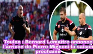 Toulon: Bernard Lemaître Annonce L'arrivée De Pierre Mignoni La Saison Prochaine - Rugby 2022