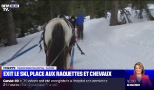 En Haute-Savoie, les stations de ski diversifient leurs offres pour attirer les vacanciers