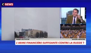 Pierre Lellouche : «Les sanctions économiques m'inquiètent terriblement»