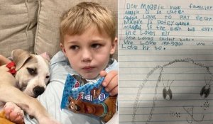 À 6 ans, il écrit des lettres vantant le caractère aimant d'une chienne issue d'un refuge pour faciliter son adoption