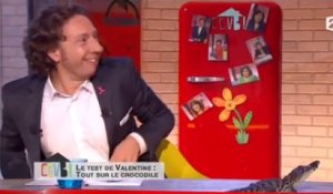 Zapping du 01/11 : un alligator sur le plateau de Comment ça va bien !