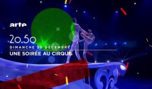36e Festival mondial du cirque de demain - arte - 20/12
