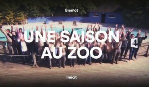 Une Saison au Zoo - Saison 4